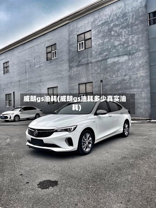 威朗gs油耗(威朗gs油耗多少真实油耗)-第2张图片