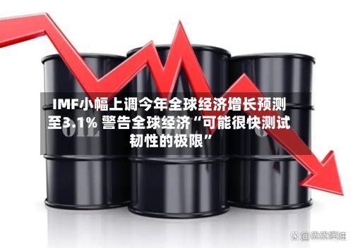 IMF小幅上调今年全球经济增长预测至3.1% 警告全球经济“可能很快测试韧性的极限”-第2张图片