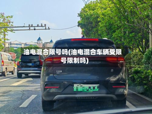 油电混合限号吗(油电混合车辆受限号限制吗)-第3张图片