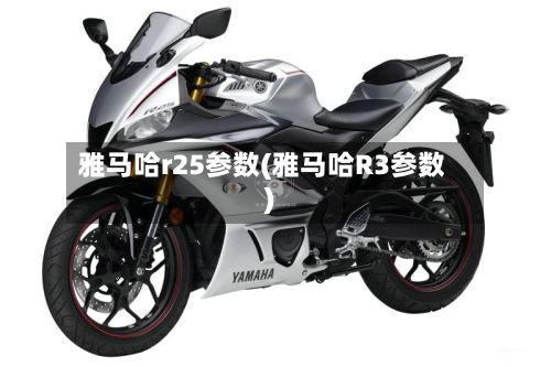 雅马哈r25参数(雅马哈R3参数)-第3张图片