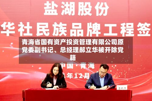 青海省国有资产投资管理有限公司原党委副书记、总经理郝立华被开除党籍-第2张图片