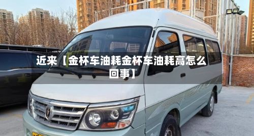 近来【金杯车油耗金杯车油耗高怎么回事】-第2张图片