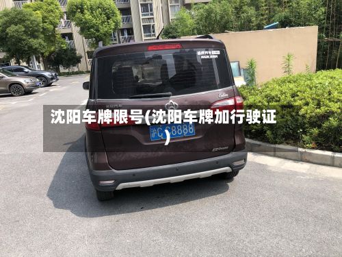 沈阳车牌限号(沈阳车牌加行驶证)