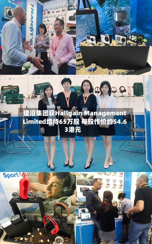 建滔集团获Hallgain Management Limited增持65万股 每股作价约54.63港元