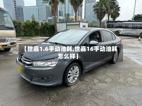 【世嘉1.6手动油耗,世嘉16手动油耗怎么样】-第2张图片