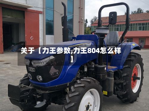 关于【力王参数,力王804怎么样】-第1张图片