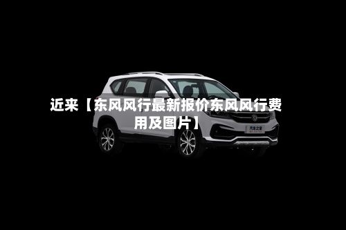 近来【东风风行最新报价东风风行费用及图片】-第3张图片