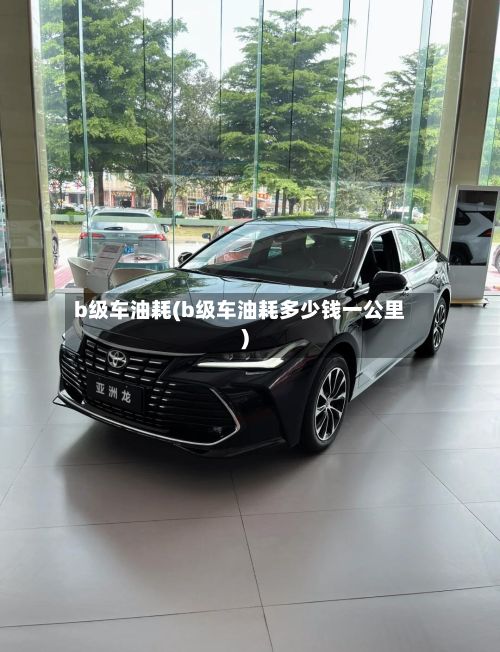 b级车油耗(b级车油耗多少钱一公里)