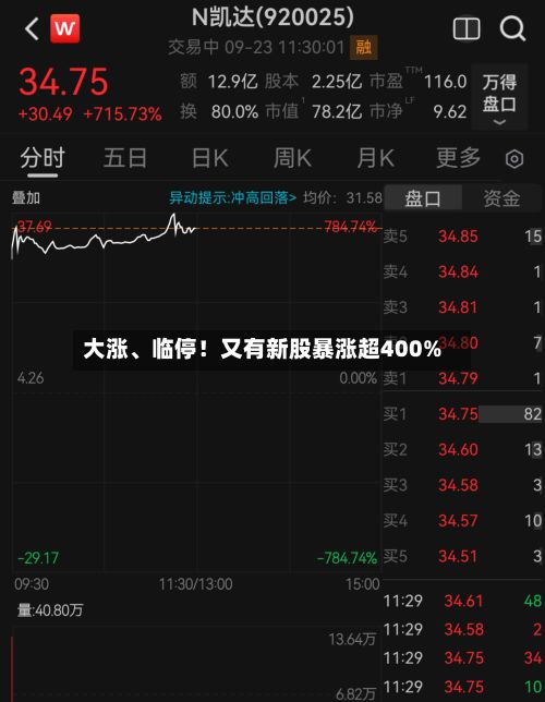 大涨	、临停！又有新股暴涨超400%-第2张图片