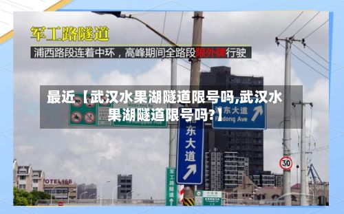 最近【武汉水果湖隧道限号吗,武汉水果湖隧道限号吗?】-第2张图片