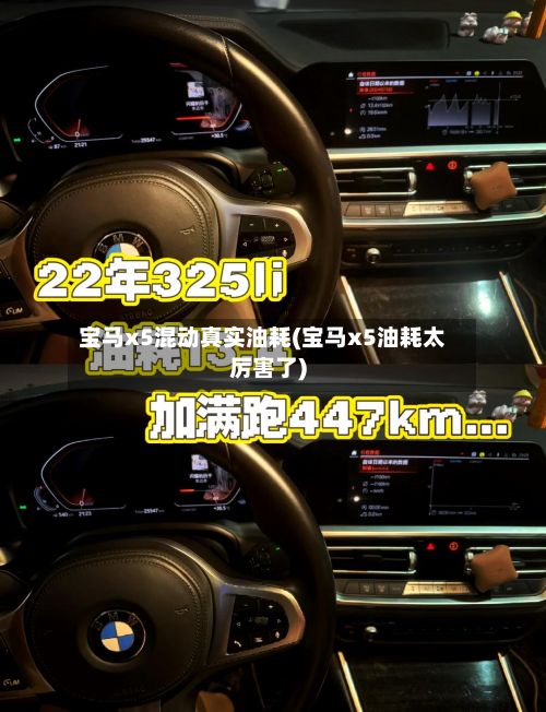 宝马x5混动真实油耗(宝马x5油耗太厉害了)-第3张图片