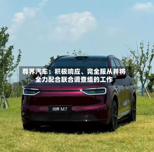 尊界汽车：积极响应、完全服从并将全力配合联合调查组的工作-第2张图片