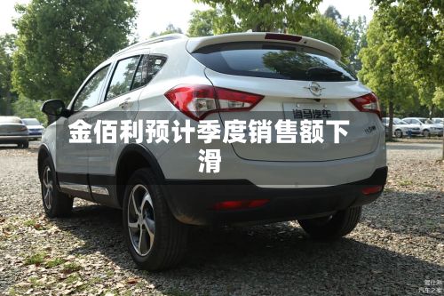 金佰利预计季度销售额下滑