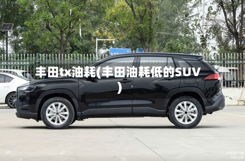 丰田tx油耗(丰田油耗低的SUV)-第2张图片