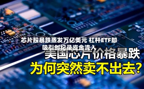 芯片股暴跌蒸发万亿美元 杠杆ETF却吸引创纪录资金流入-第3张图片