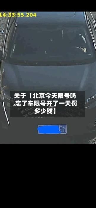关于【北京今天限号吗,忘了车限号开了一天罚多少钱】-第2张图片