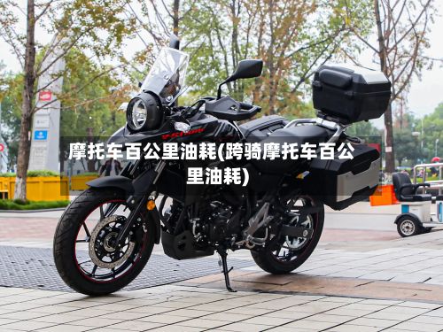 摩托车百公里油耗(跨骑摩托车百公里油耗)-第2张图片