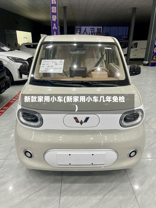 新款家用小车(新家用小车几年免检)