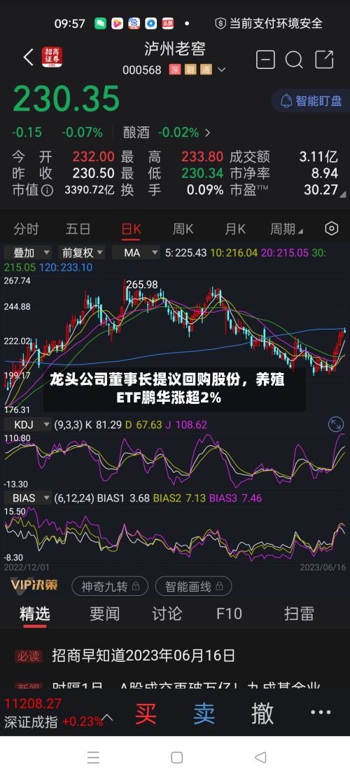 龙头公司董事长提议回购股份	，养殖ETF鹏华涨超2%-第2张图片