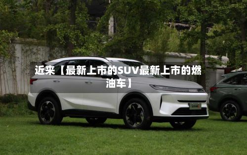 近来【最新上市的SUV最新上市的燃油车】-第3张图片