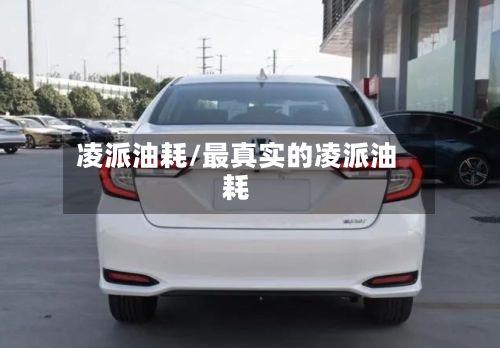 凌派油耗/最真实的凌派油耗-第2张图片