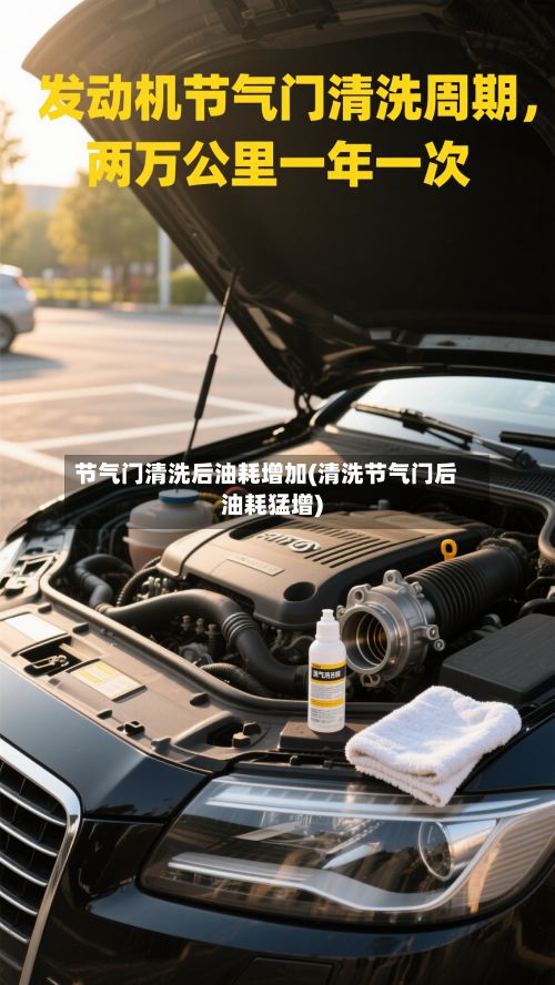 节气门清洗后油耗增加(清洗节气门后油耗猛增)-第2张图片
