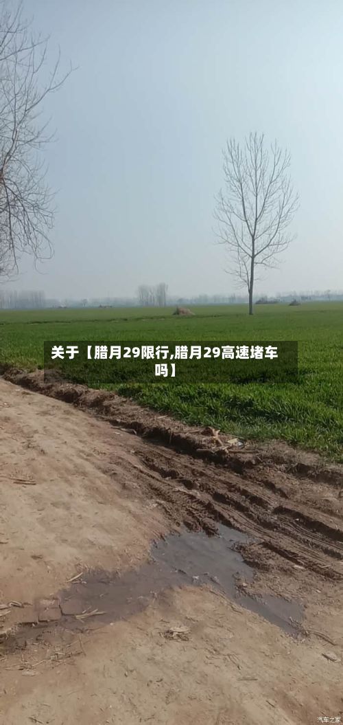 关于【腊月29限行,腊月29高速堵车吗】