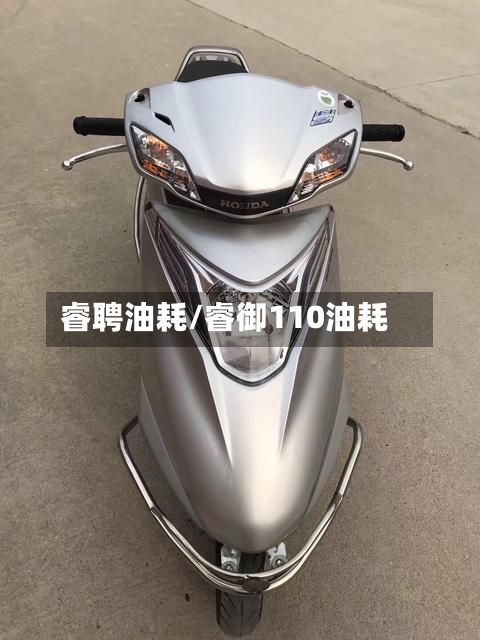 睿聘油耗/睿御110油耗-第3张图片