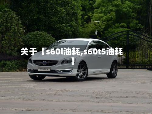 关于【s60l油耗,s60t5油耗】-第3张图片