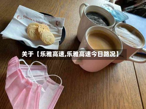 关于【乐雅高速,乐雅高速今日路况】-第3张图片