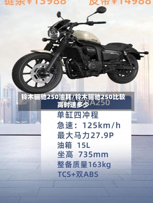 铃木骊驰250油耗/铃木骊驰250比较高时速多少-第2张图片