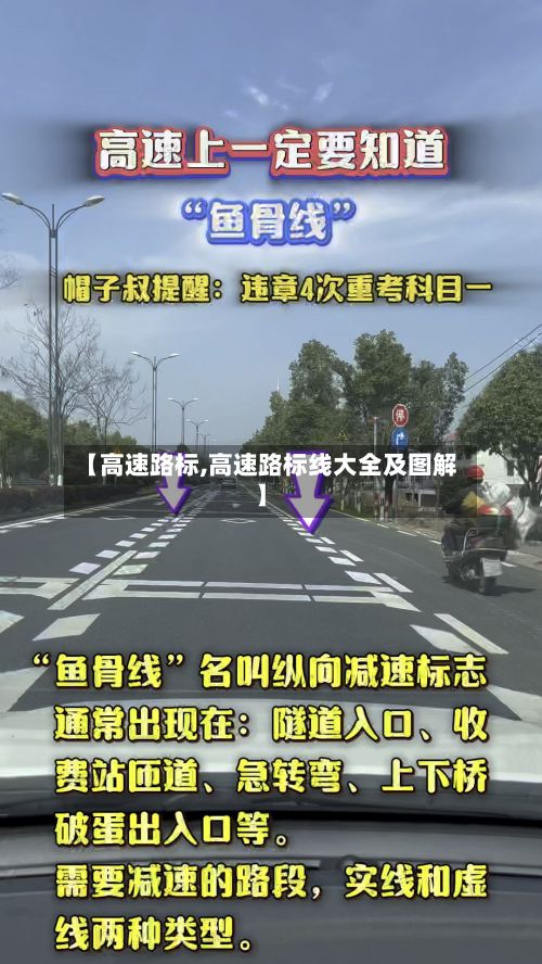 【高速路标,高速路标线大全及图解】