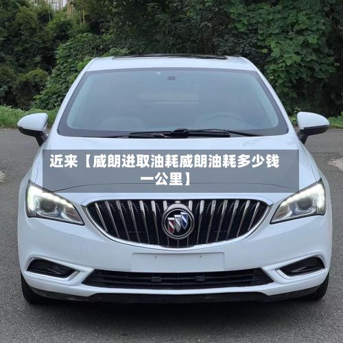 近来【威朗进取油耗威朗油耗多少钱一公里】-第3张图片