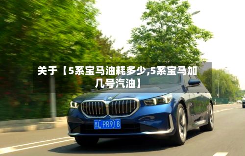 关于【5系宝马油耗多少,5系宝马加几号汽油】-第3张图片