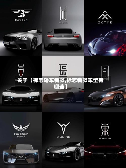 关于【标志轿车新款,标志新款车型有哪些】-第3张图片