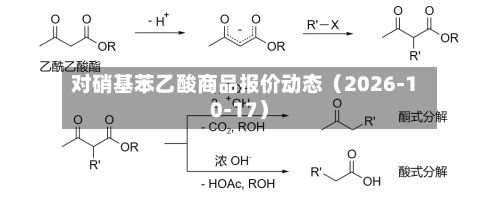 对硝基苯乙酸商品报价动态（2026-10-17）-第3张图片