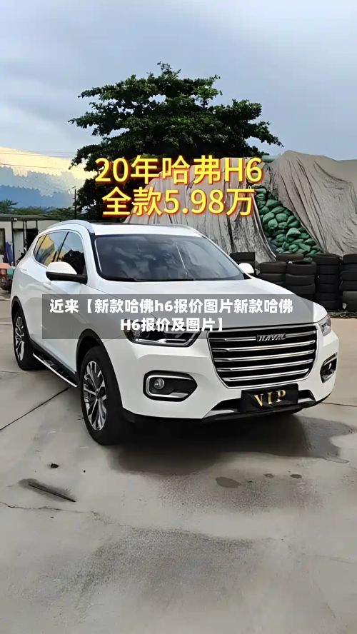 近来【新款哈佛h6报价图片新款哈佛H6报价及图片】-第2张图片