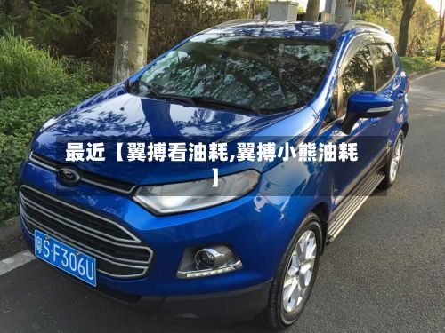 最近【翼搏看油耗,翼搏小熊油耗】