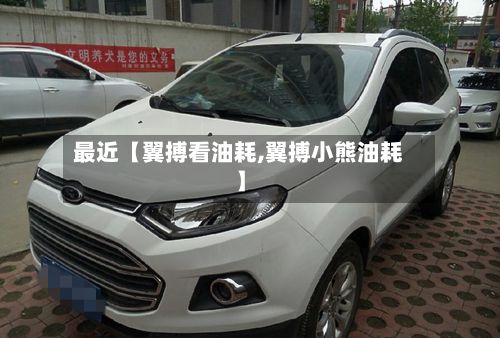 最近【翼搏看油耗,翼搏小熊油耗】-第2张图片