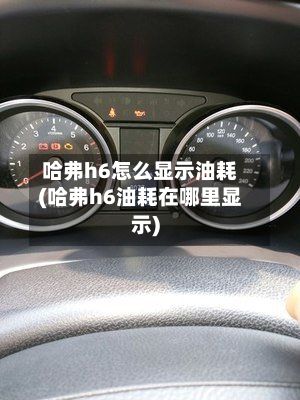 哈弗h6怎么显示油耗(哈弗h6油耗在哪里显示)-第3张图片