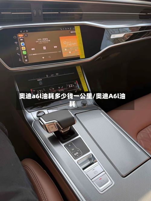 奥迪a6l油耗多少钱一公里/奥迪A6l油耗-第2张图片