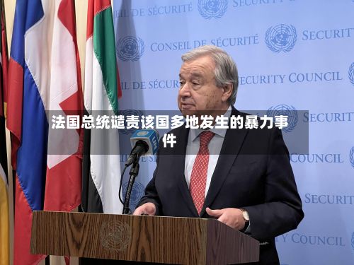 法国总统谴责该国多地发生的暴力事件