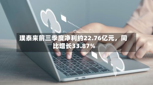 璞泰来前三季度净利约22.76亿元，同比增长33.87%-第3张图片