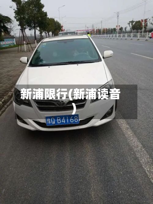 新浦限行(新浦读音)
