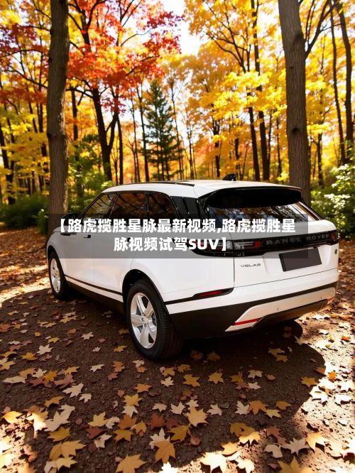 【路虎揽胜星脉最新视频,路虎揽胜星脉视频试驾SUV】-第3张图片