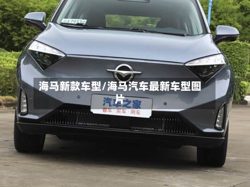 海马新款车型/海马汽车最新车型图片-第3张图片