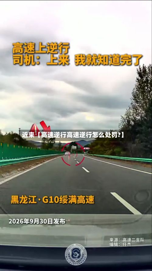 近来【高速逆行高速逆行怎么处罚?】-第2张图片