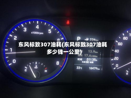 东风标致307油耗(东风标致307油耗多少钱一公里)