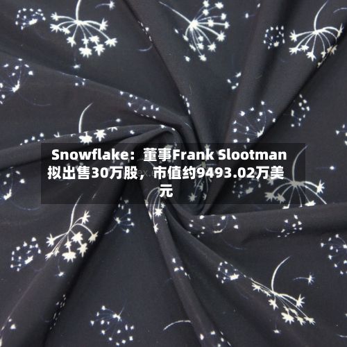 Snowflake：董事Frank Slootman拟出售30万股，市值约9493.02万美元