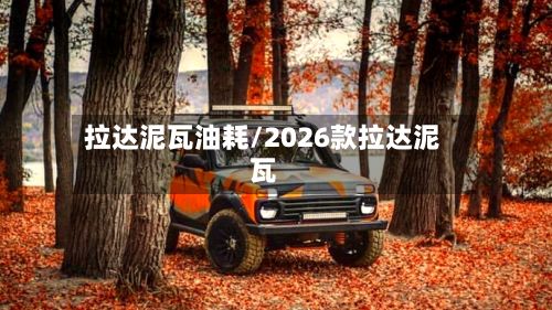 拉达泥瓦油耗/2026款拉达泥瓦-第3张图片